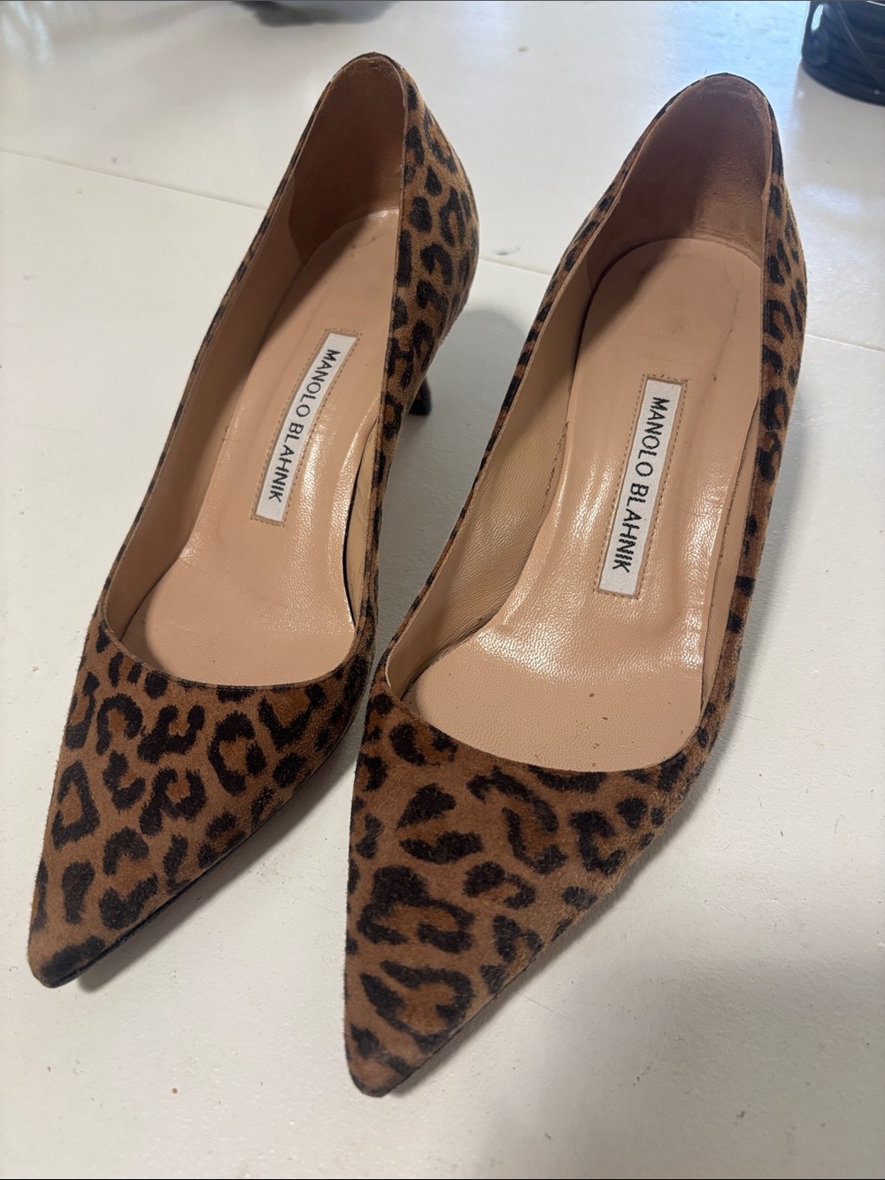 Manolo Blahnik Leopard-Print Pointed Toe Pumps - Black & Brown